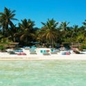 Read more about the article Update on Sargassum Seaweed Affecting Mexico’s Beaches