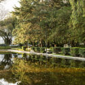 Read more about the article Journey Mexico News: Explore Culture, Stylish Hotels, and Luxury Villas