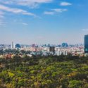 Read more about the article What We Love About Mexico City Right Now