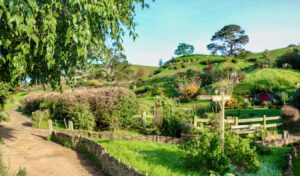 Read more about the article My Ultimate Road Trip Itinerary for New Zealand’s North Island