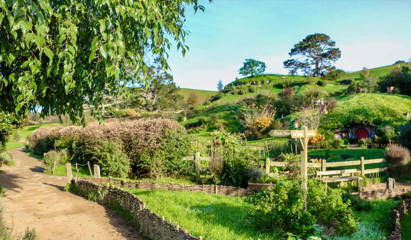 You are currently viewing My Ultimate Road Trip Itinerary for New Zealand’s North Island